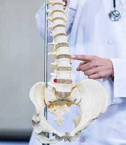 Disc Degeneration